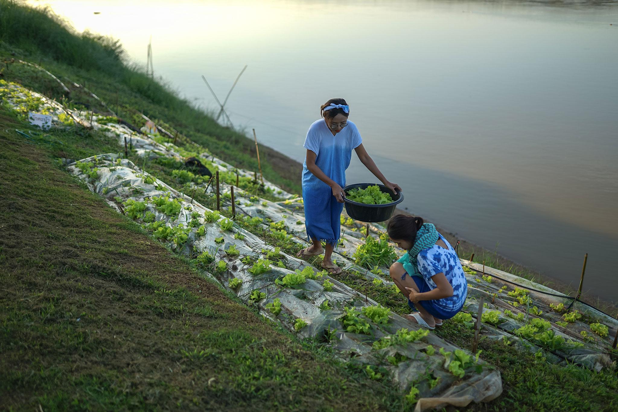 Chiangkhan River Mountain Resort Chiang Khan Bagian luar foto